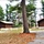 Cabins at Fort McCoy's Pine View Campground Cabins at Fort McCoy's Pine View Campground