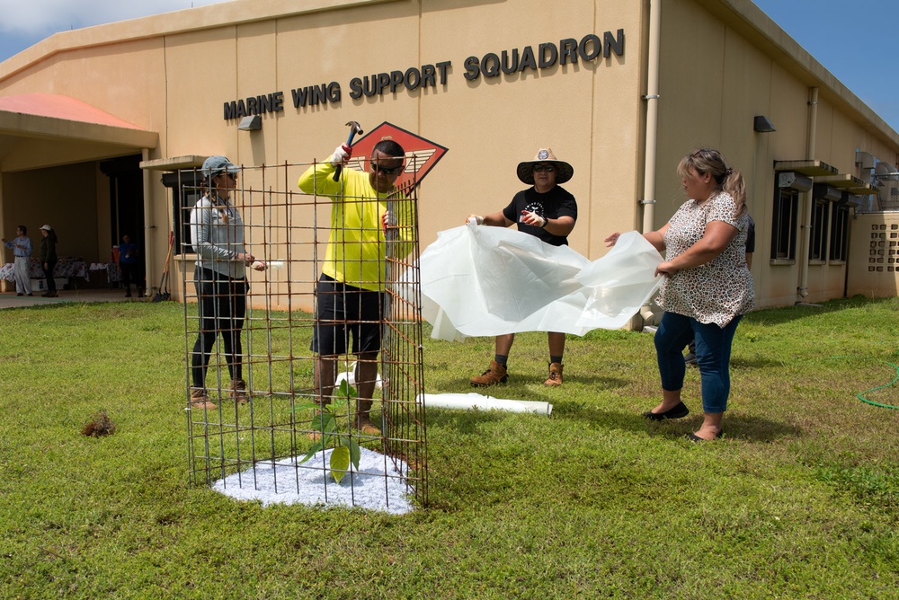 A newly planted native plant is given added protection by a team of natural resource specialists on Marine Corps Base Camp Blaz