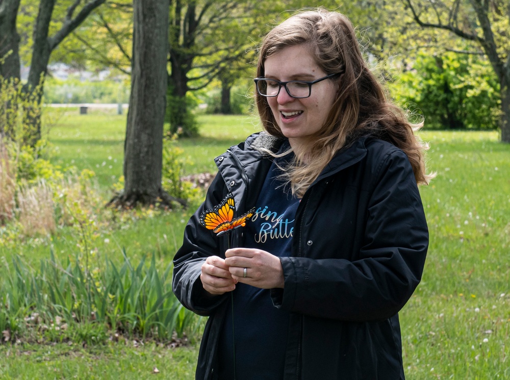 Butterfly Garden