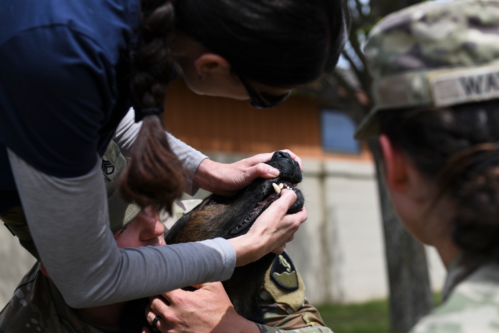 U.S. Army Military Working Dog symposium