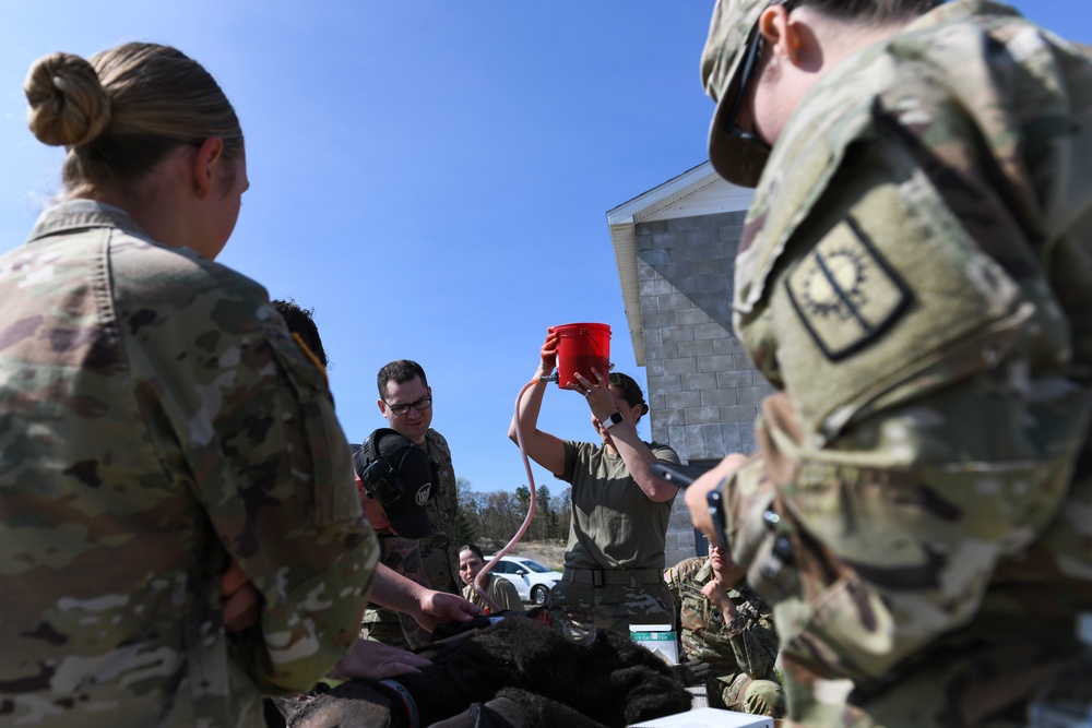 U.S. Army Military Working Dog symposium