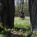 U.S. Army Military Working Dog symposium