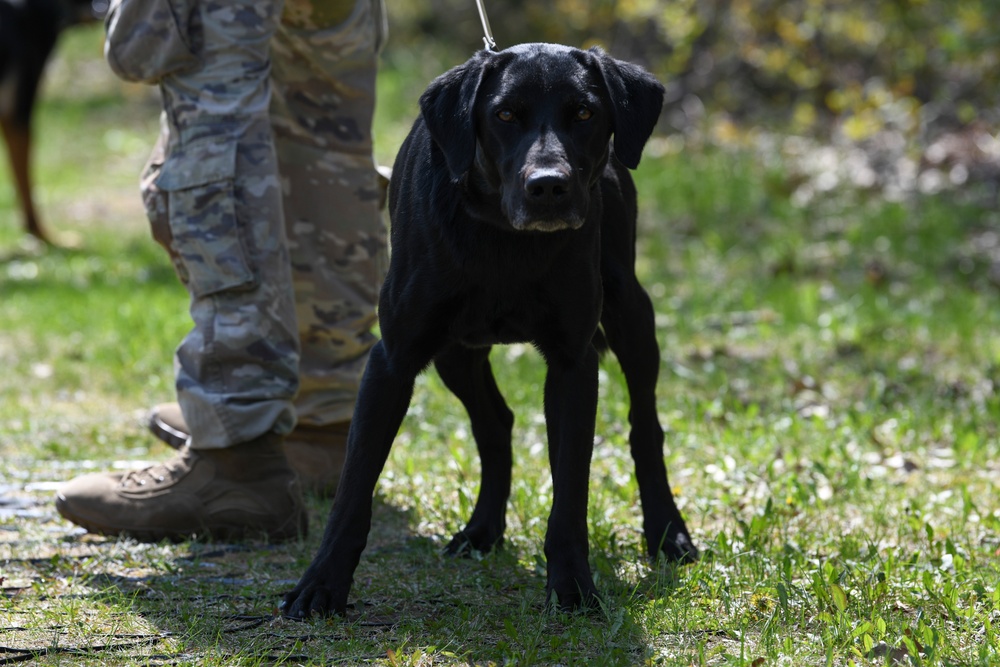 U.S. Army Military Working Dog symposium