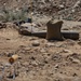 EOD Technicians plant controlled explosives as part of a training and documentation exercise for future EOD classes