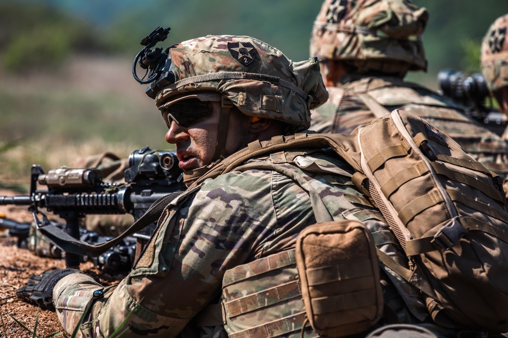 1-17 IN conducts company live fire exercise