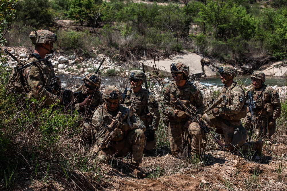 1-17 IN conducts company live fire exercise