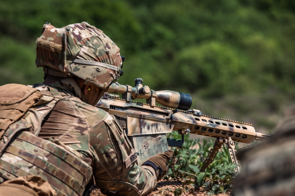 1-17 IN conducts company live fire exercise