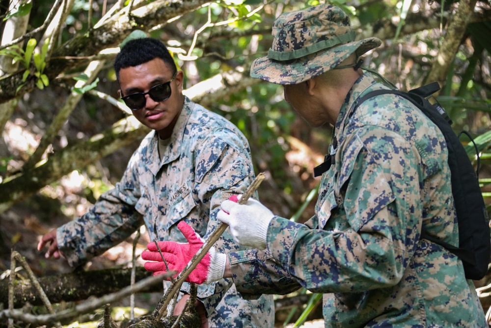 Camp Blaz Marines and staff maintain Tweed's Trail