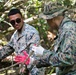 Camp Blaz Marines and staff maintain Tweed's Trail