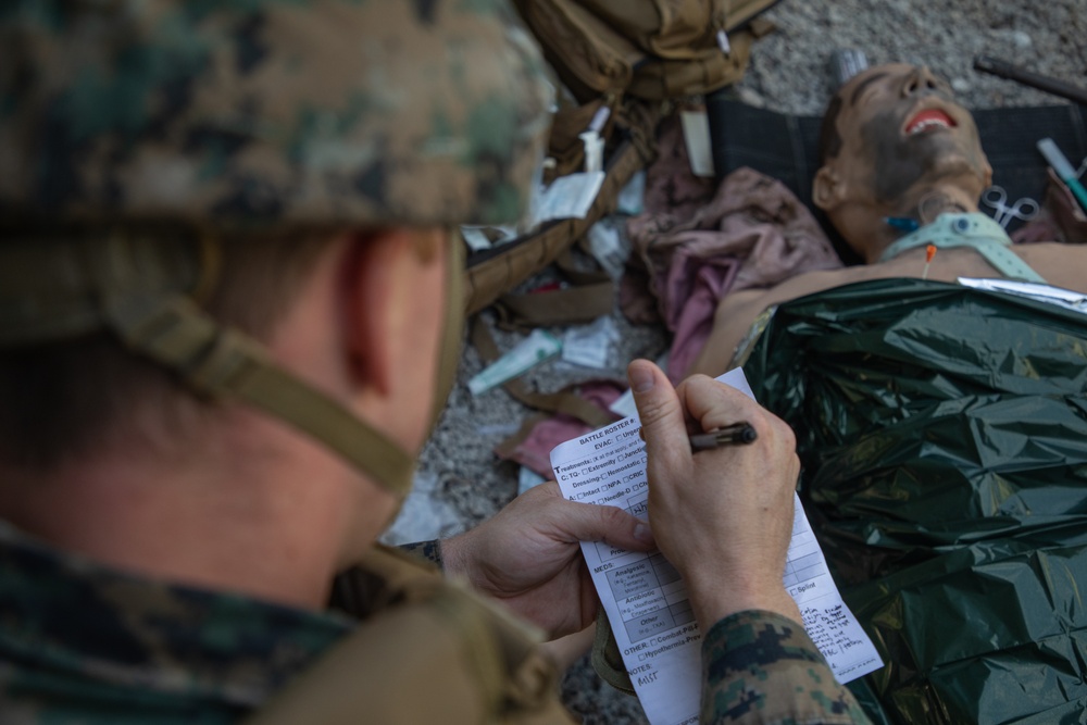 2nd MLG Tactical Combat Causality Care Tier 3 Instructor Test