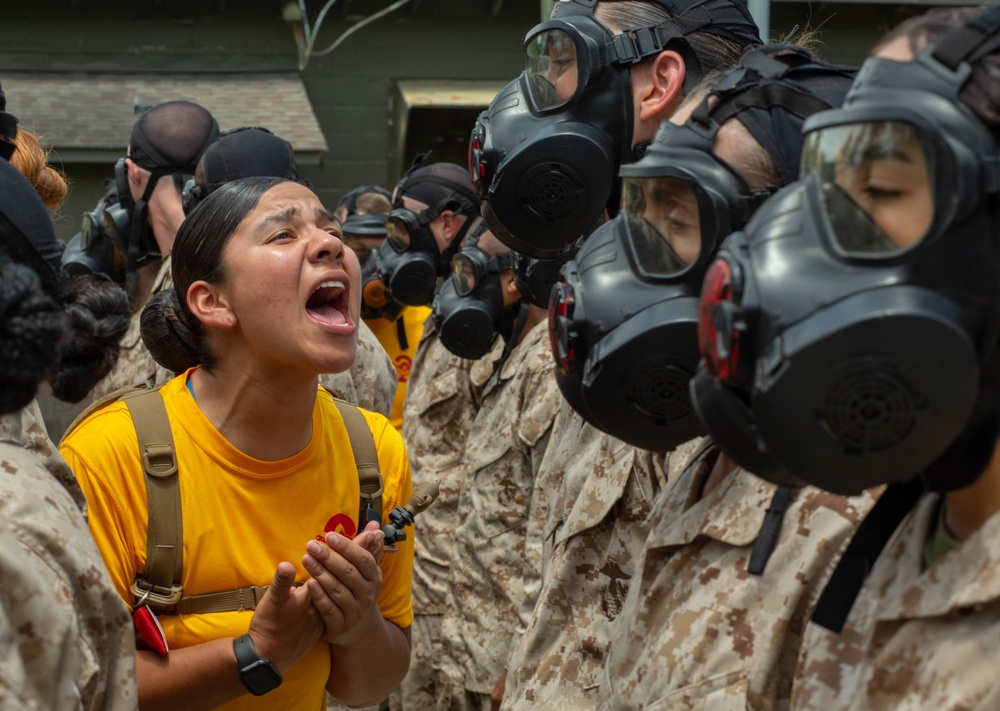 Papa Company Gas Chamber