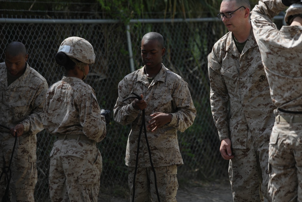 Papa Company Rappel Tower