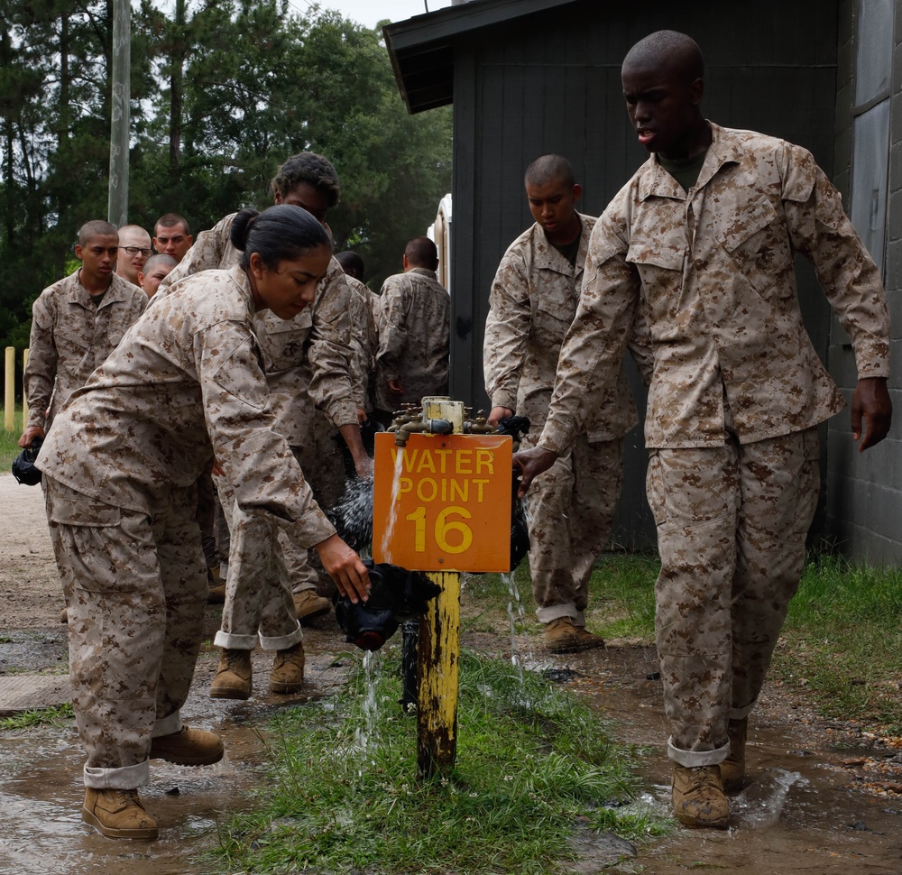 Papa Company Gas Chamber