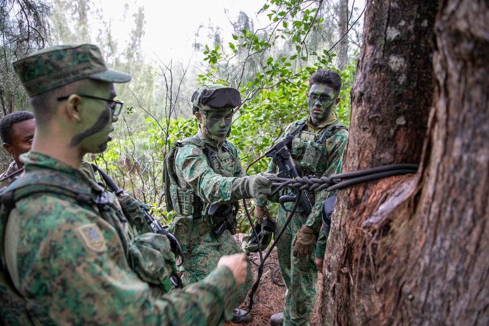 Tiger Balm 23 Field Training Exercise: Hasty Repel and React to Contact