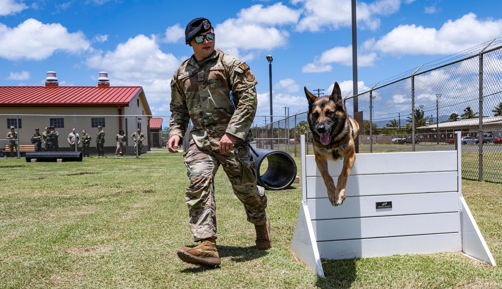 Pacific Air Forces strengthens partnerships during Pacific Defender