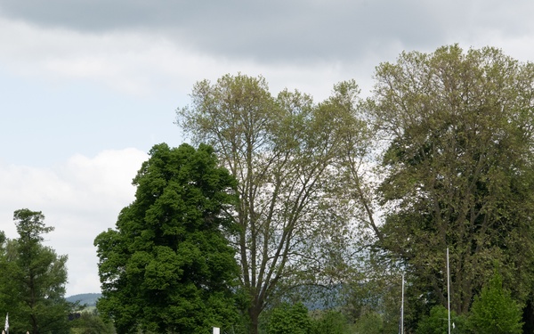 American and German students strengthen partnerships through dragon boat racing