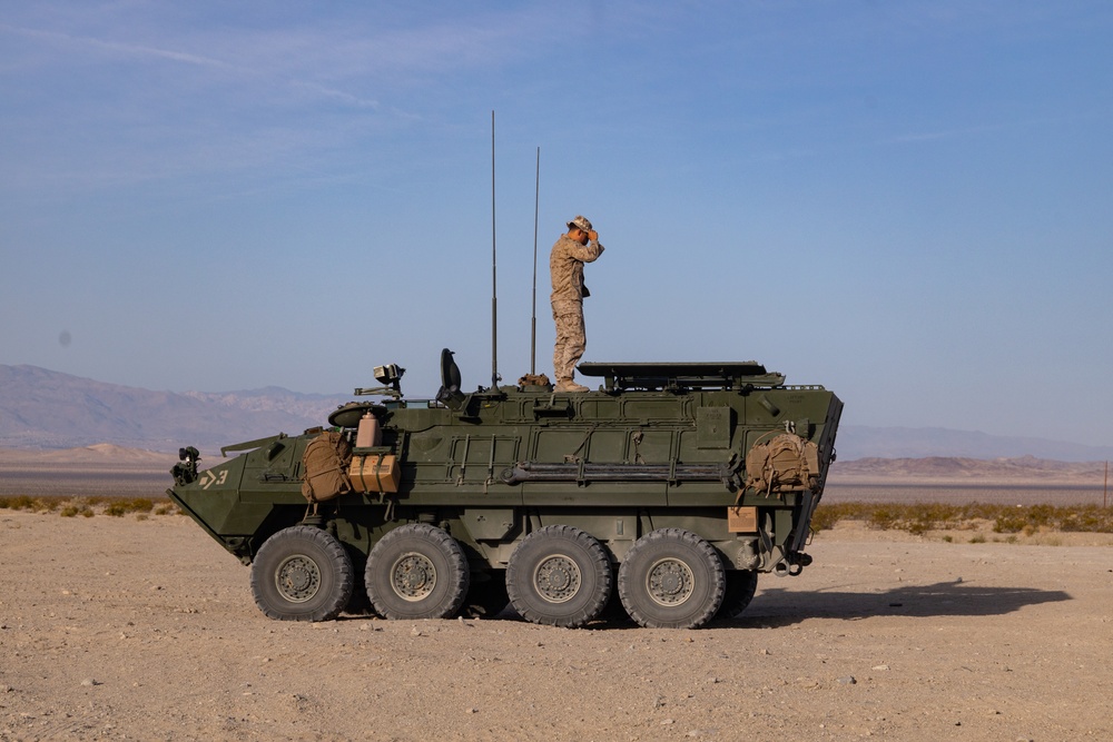 Light armored reconnaissance units from across the Corps compete in the 2023 Bushmaster Challenge