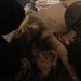 U.S. Navy Sailors Conduct a Tactical Casualty Care Tier Three Instructor Test