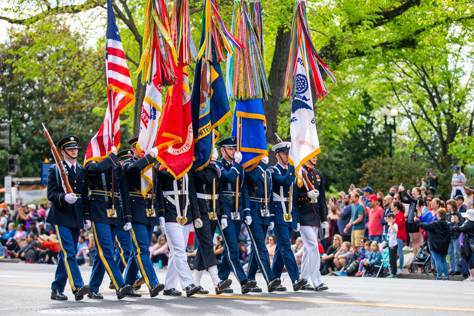 DVIDS - Images - The National Cherry Blossom Festival, April 15