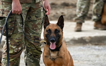 Joint Base Andrews breaks ground on new K-9 kennel