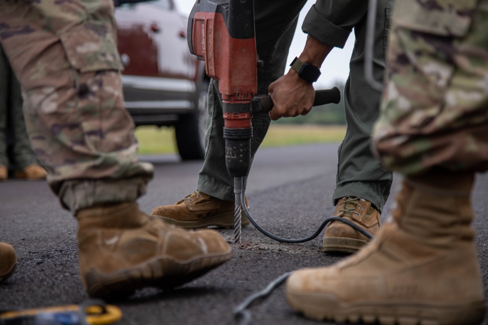 Joint Force Dillingham Airfield Assessment