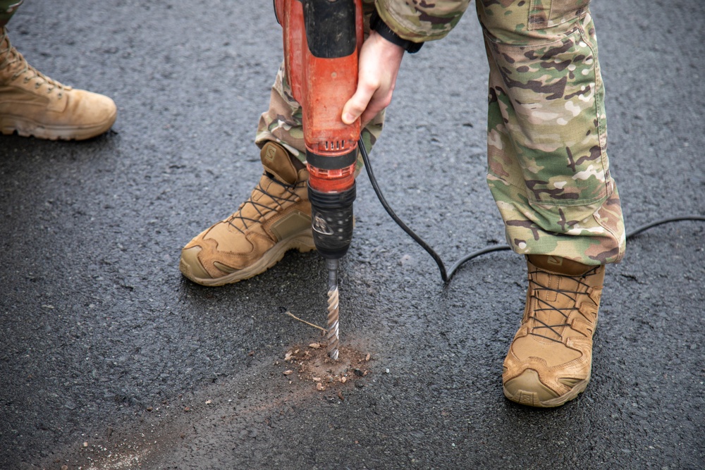 Joint Force Dillingham Airfield Assessment