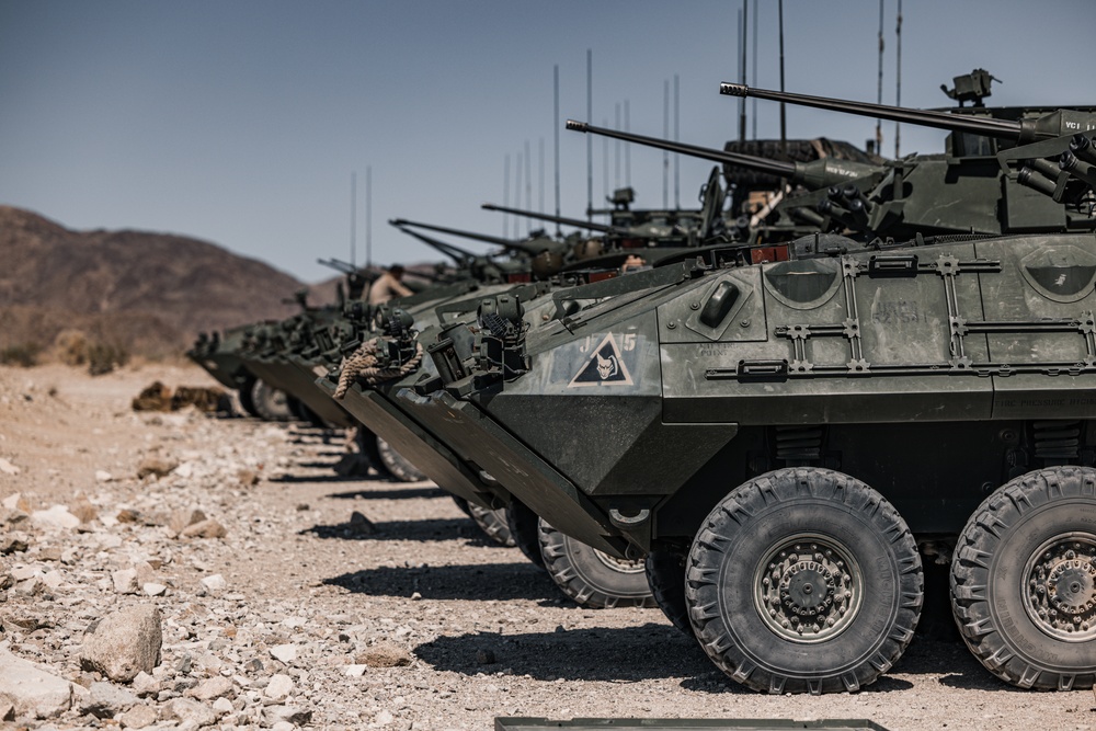 Light armored reconnaissance units from across the Corps compete in the 2023 Bushmaster Challenge