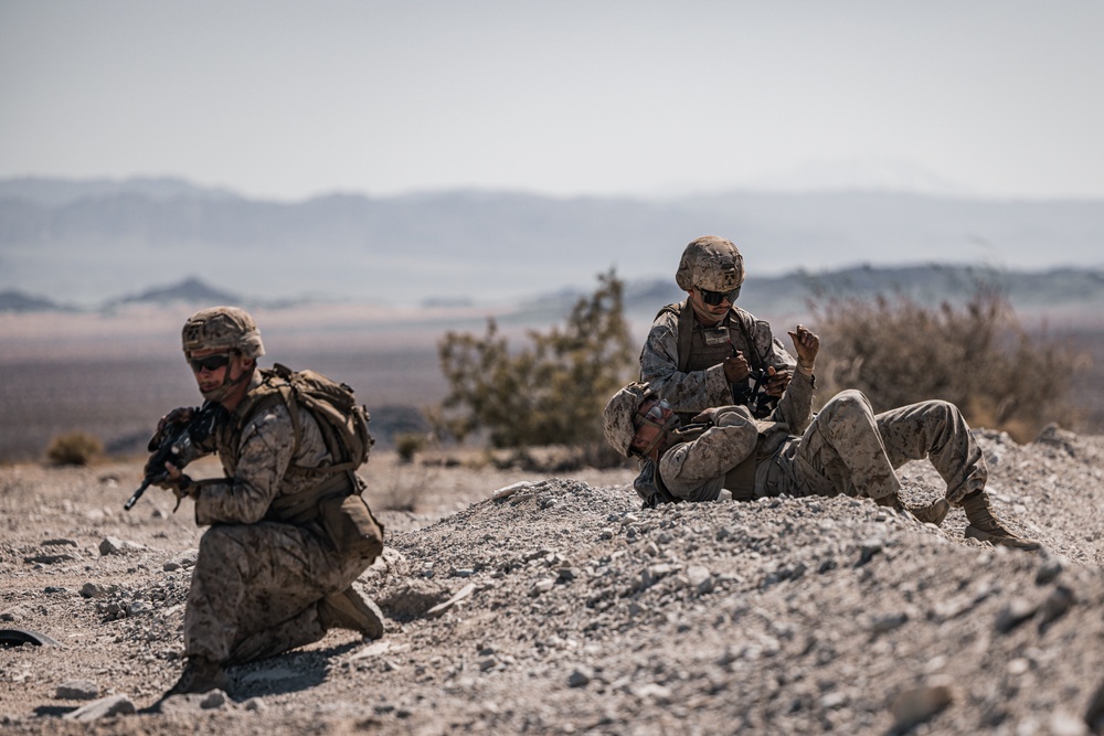 Light armored reconnaissance units from across the Corps compete in the 2023 Bushmaster Challenge