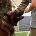 SSamuel and SSeneca retire from their duties as military working dogs