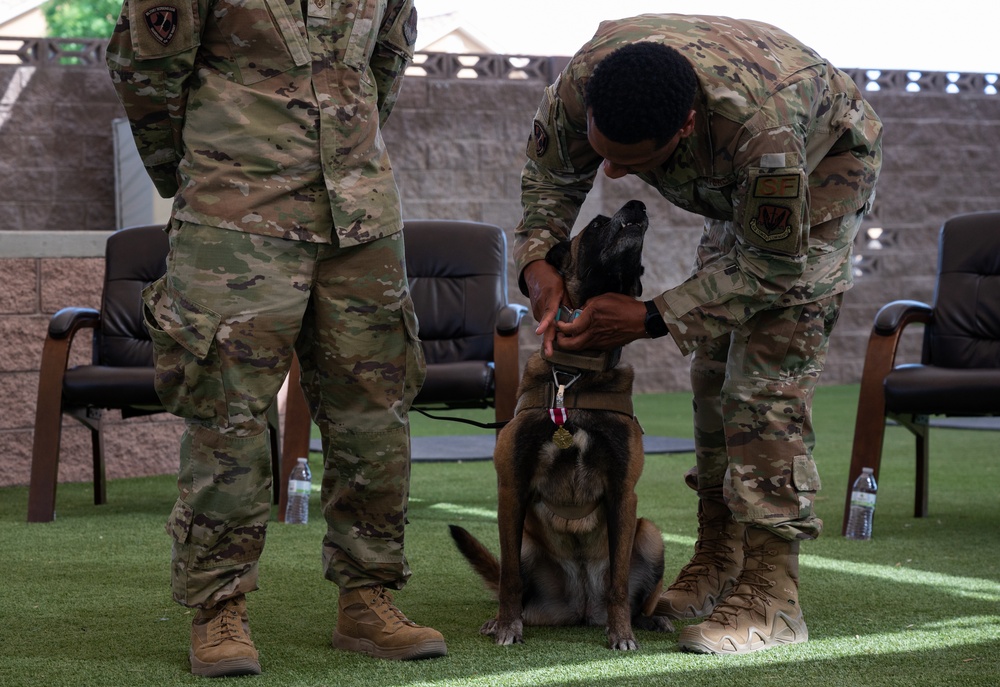 SSamuel and SSeneca retire from their duties as military working dogs