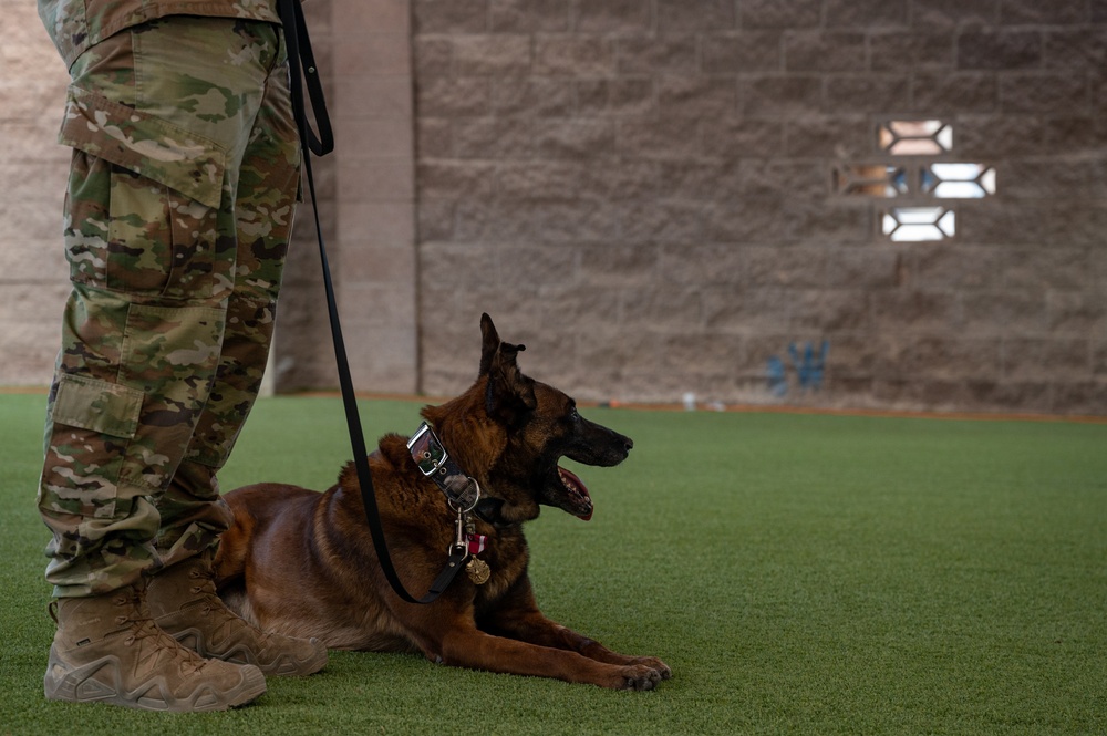 SSamuel and SSeneca retire from their duties as military working dogs