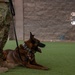 SSamuel and SSeneca retire from their duties as military working dogs