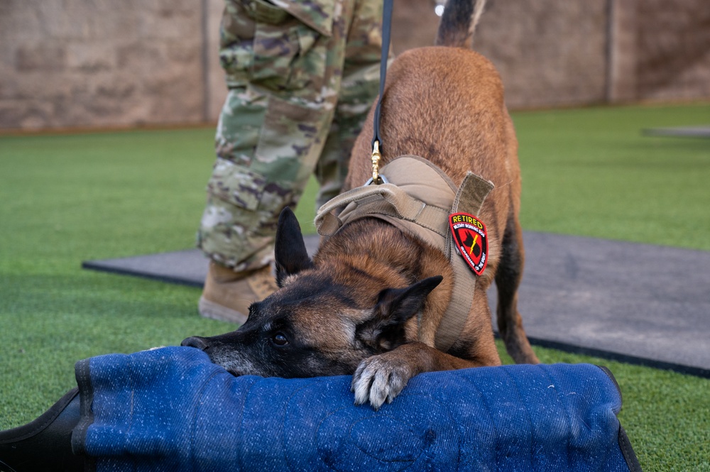 SSamuel and SSeneca retire from their duties as military working dogs