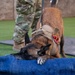 SSamuel and SSeneca retire from their duties as military working dogs