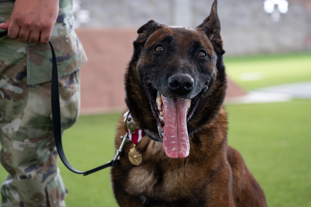 SSamuel and SSeneca retire from their duties as military working dogs