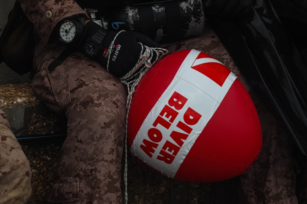 Caribbean Coastal Warrior 2023: Dive Drills