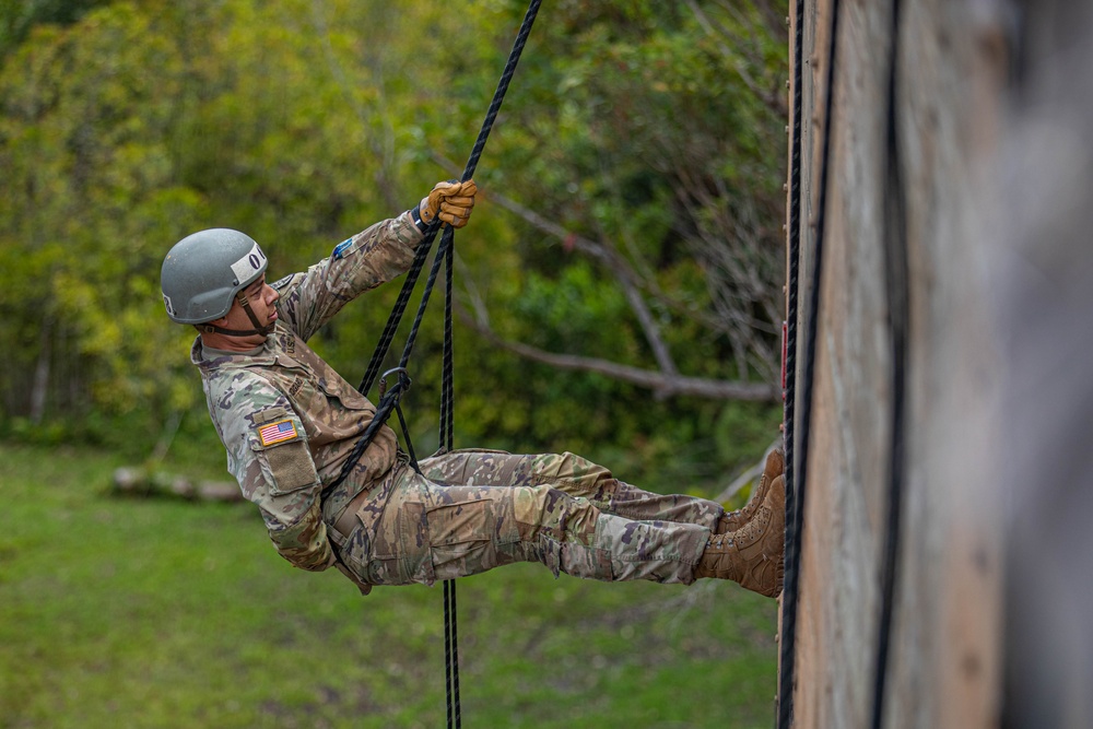 Air Assault: Rappel Tower