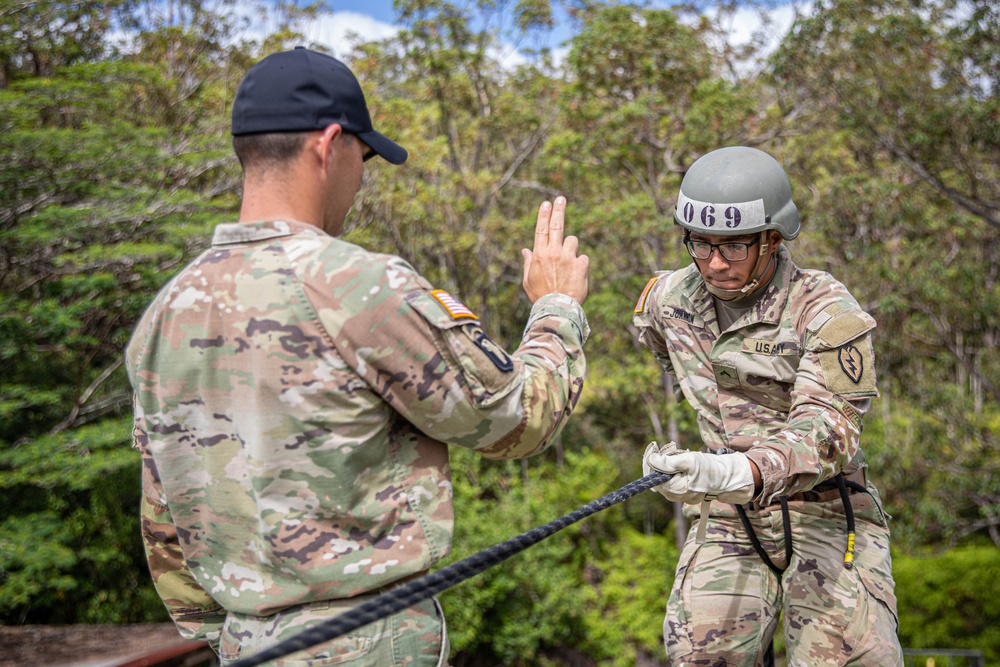 Air Assault: Rappel Tower