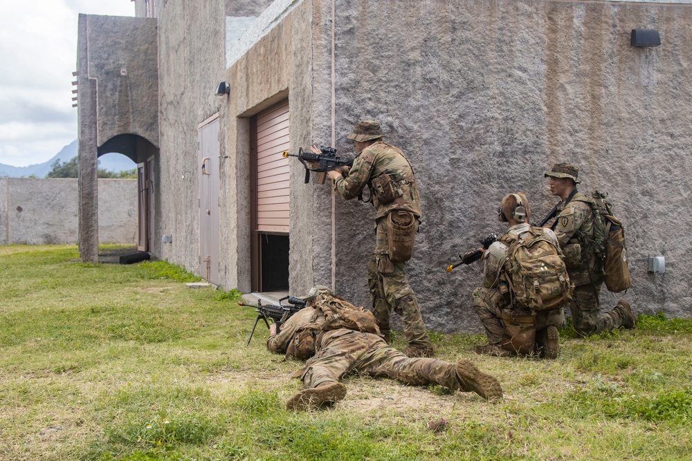 U.S. Soldiers Conduct Beach Insertion Training at MCBH