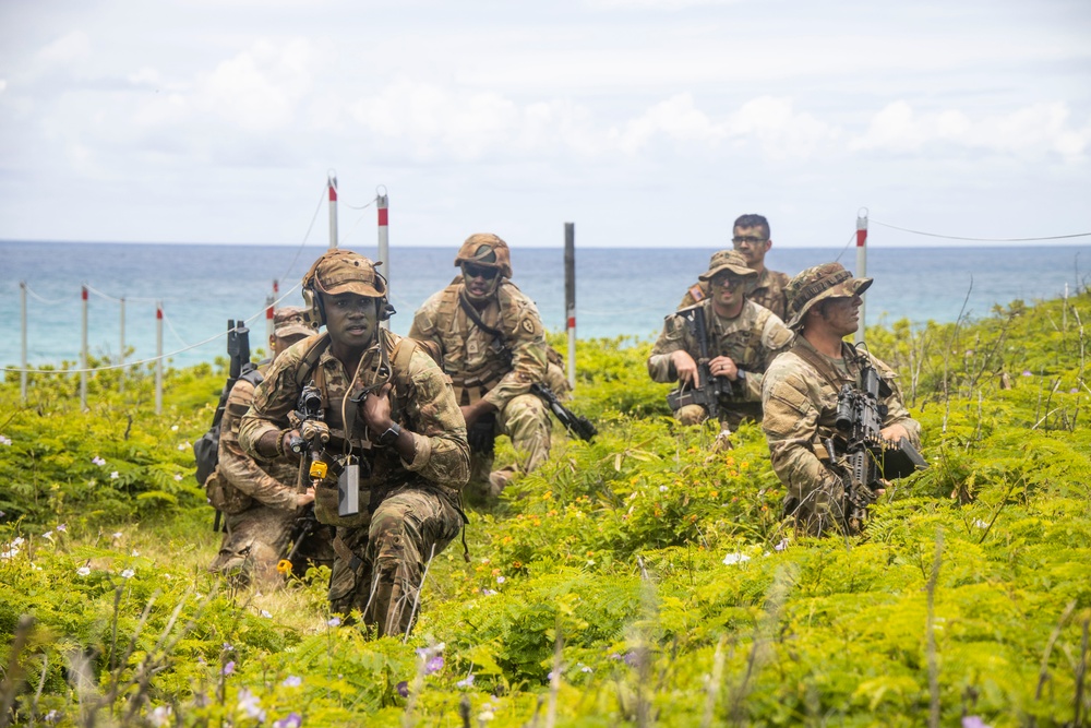 U.S. Soldiers Conduct Beach Insertion Training at MCBH