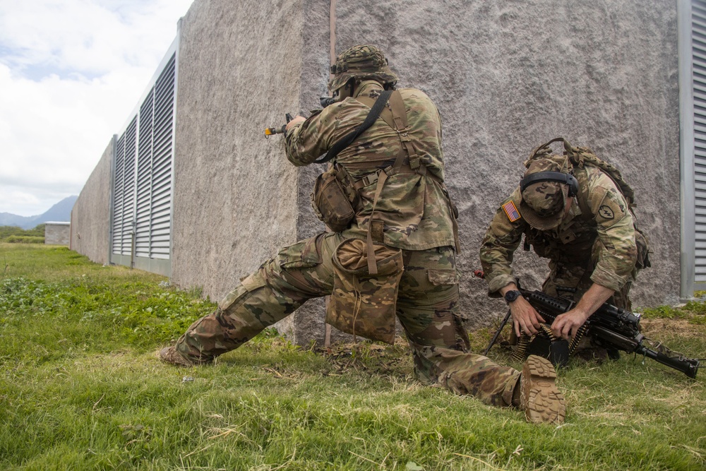 U.S. Soldiers Conduct Beach Insertion Training at MCBH