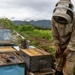 Local Bee Farm Relocates Honey Bees From Kupono Solar