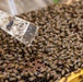 Local Bee Farm Relocates Honey Bees From Kupono Solar