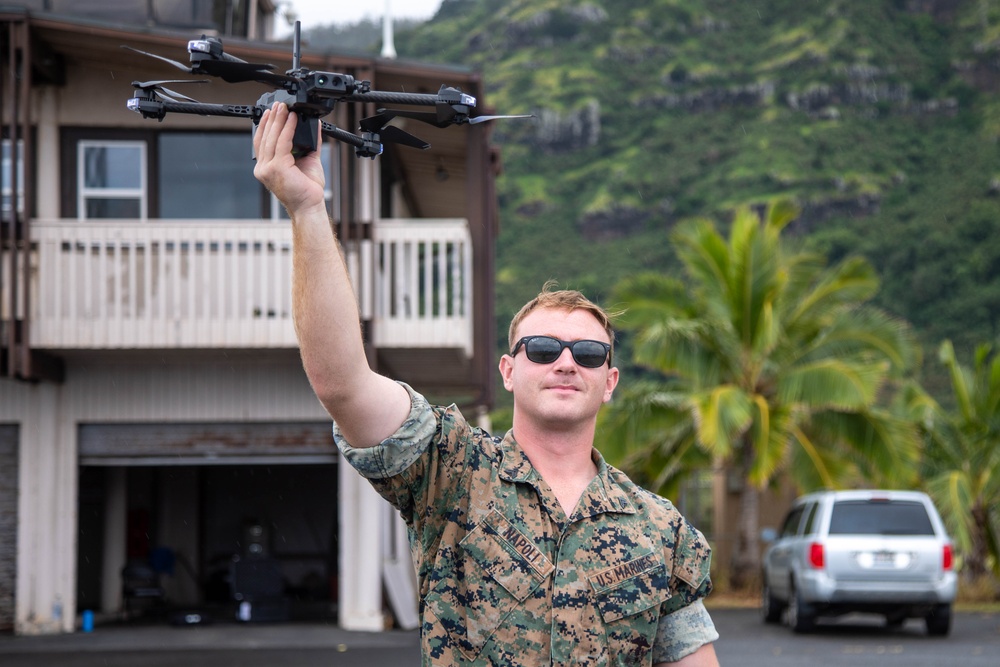 Joint Force Dillingham Airfield Assessment