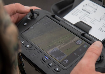 Joint Force Dillingham Airfield Assessment