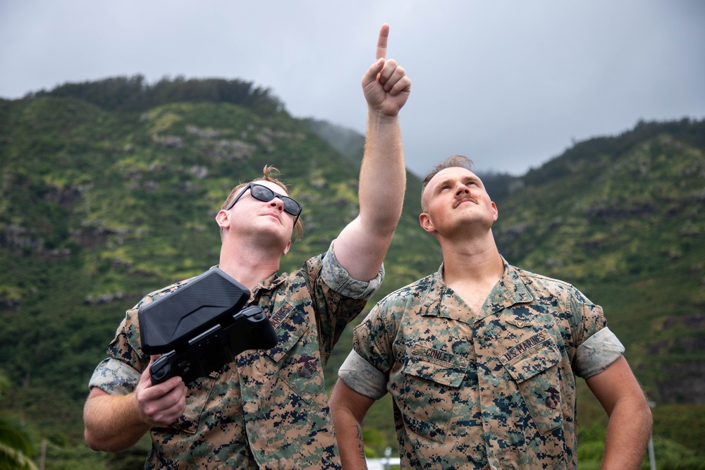 Joint Force Dillingham Airfield Assessment