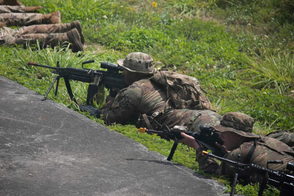 U.S. Soldiers Conduct Beach Insertion Training at MCBH