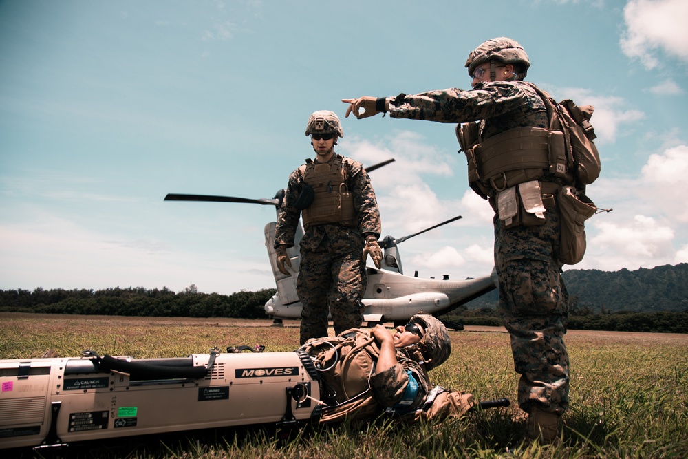 Bravo Surgical Company conducts a simulated casualty evacuation training at Marine Corps Training Area Bellows
