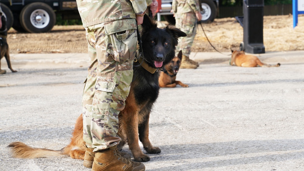 Military working dogs attend groundbreaking ceremony for new Military Working Dog Kennel project on Joint Base Andrews