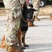 Military working dogs attend groundbreaking ceremony for new Military Working Dog Kennel project on Joint Base Andrews